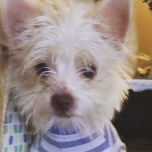 Meet your Posher, Benni